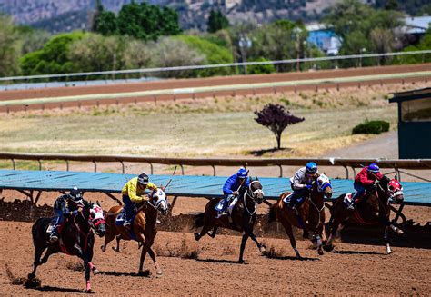 twinspires racing.